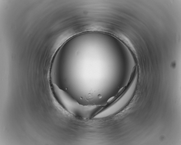 X0000093760946200710231249