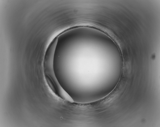 X0000093760951200710231250