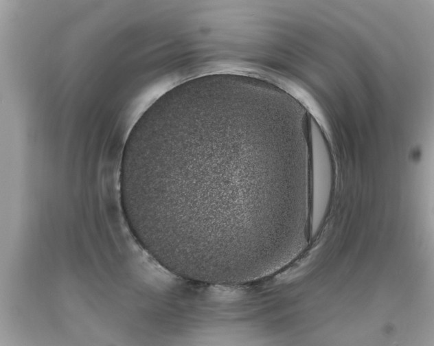 X0000093760954200710231250