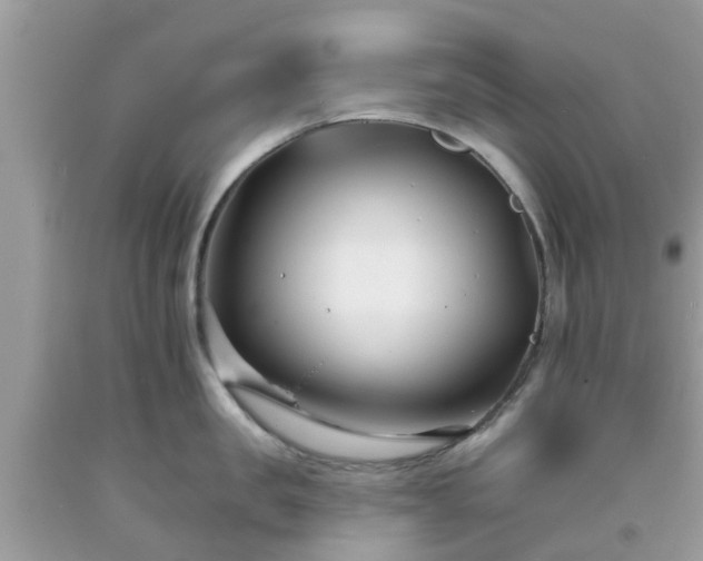 X0000093760957200710231250