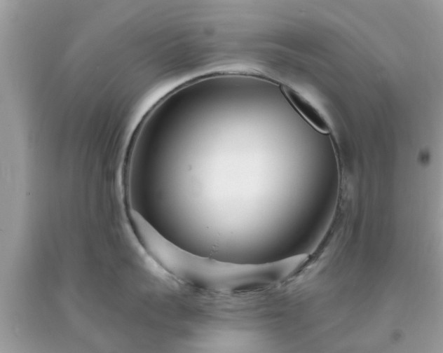 X0000093760959200710231250