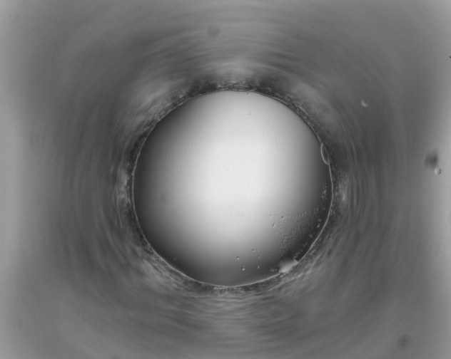 X0000093760964200710231249