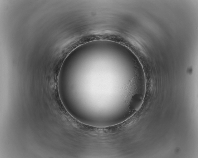 X0000093760966200710231249