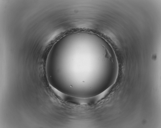 X0000093760968200710231249
