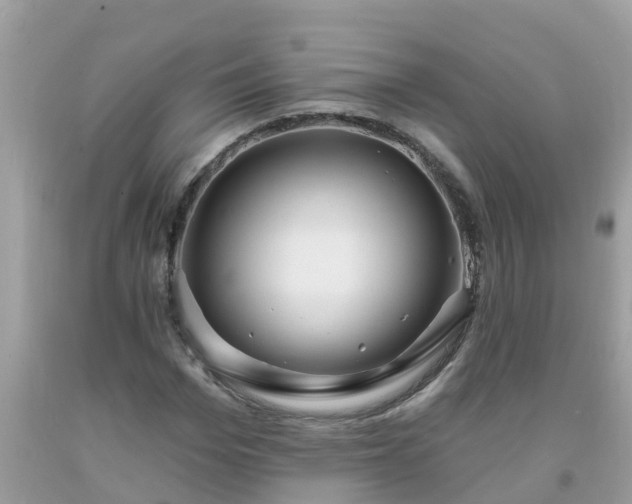 X0000093760969200710231249