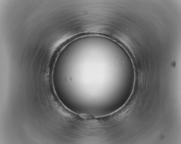 X0000093760971200710231249