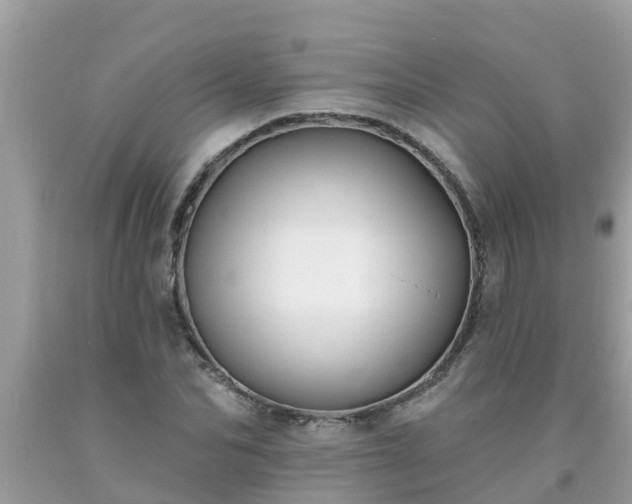 X0000093760974200710231249