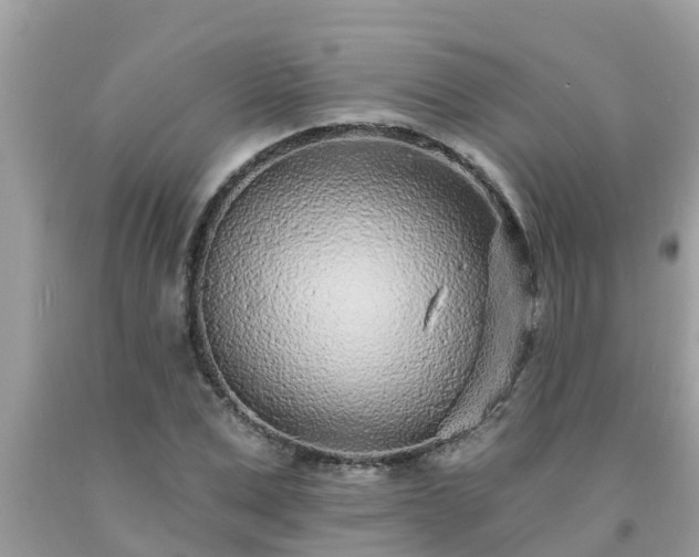 X0000093760975200710231249