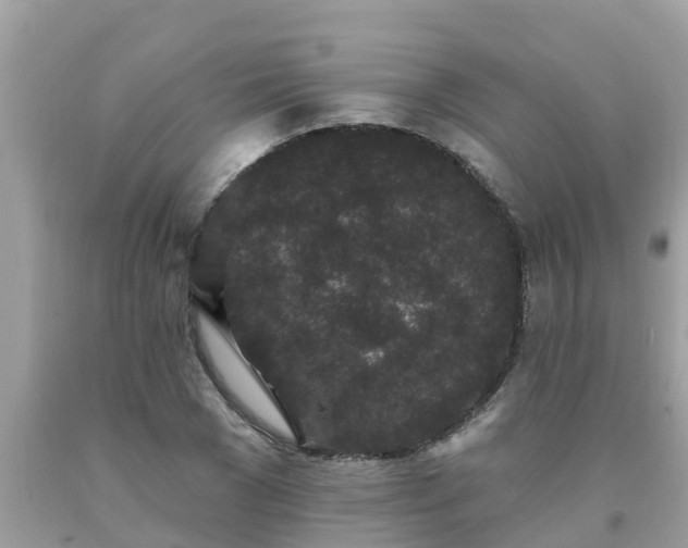 X0000093760977200710231249