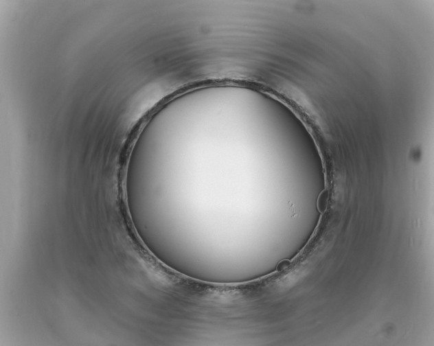 X0000093760978200710231249