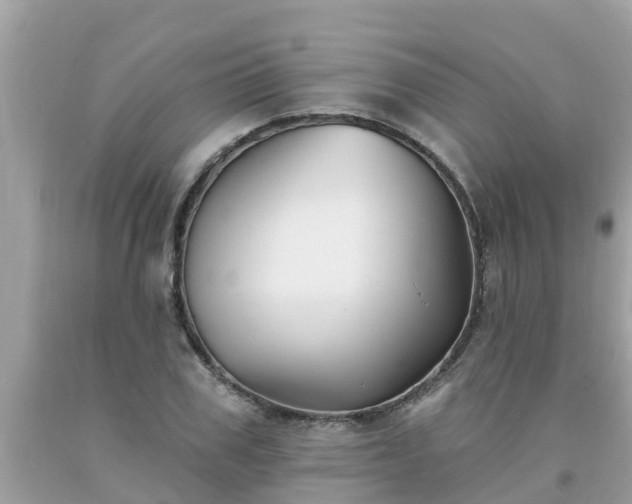 X0000093760979200710231249