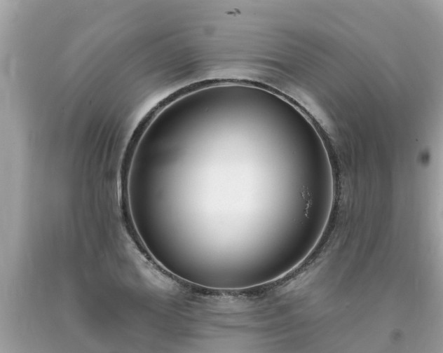 X0000093760980200710231249