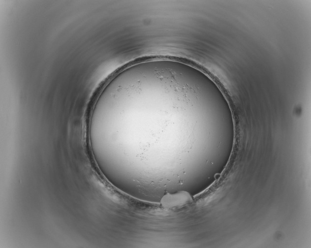 X0000093760982200710231249