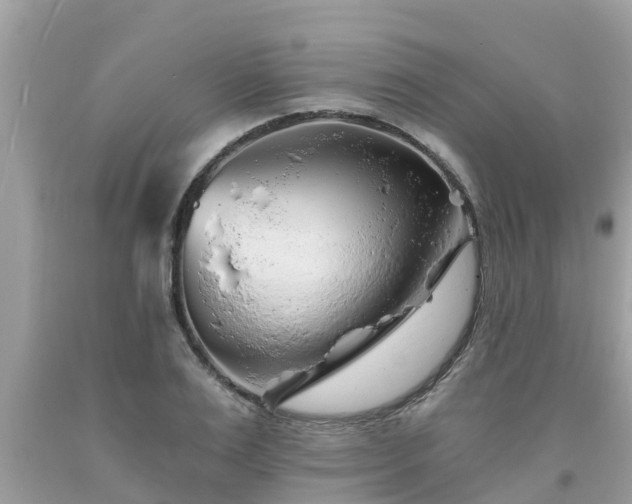 X0000093760983200710231249