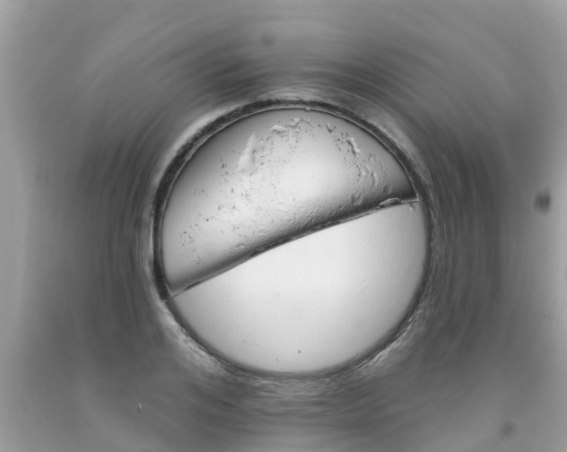 X0000093760984200710231249