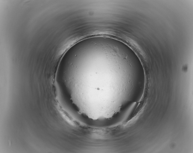 X0000093760985200710231249