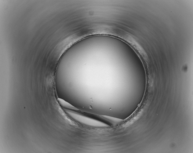 X0000093760993200710231248