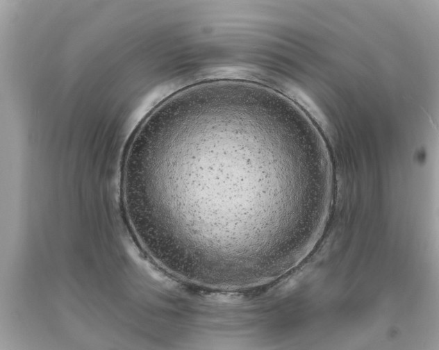 X0000093760994200710231248