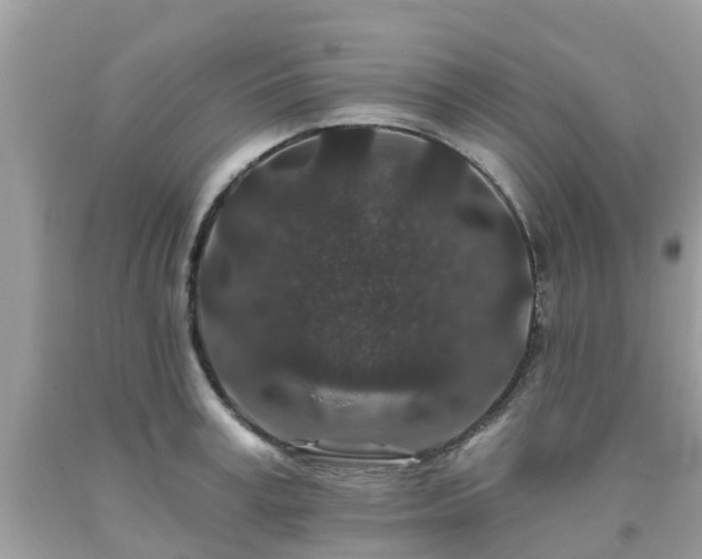 X0000093760995200710231248