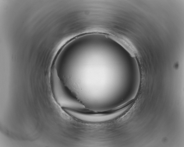 X0000093760996200710231248