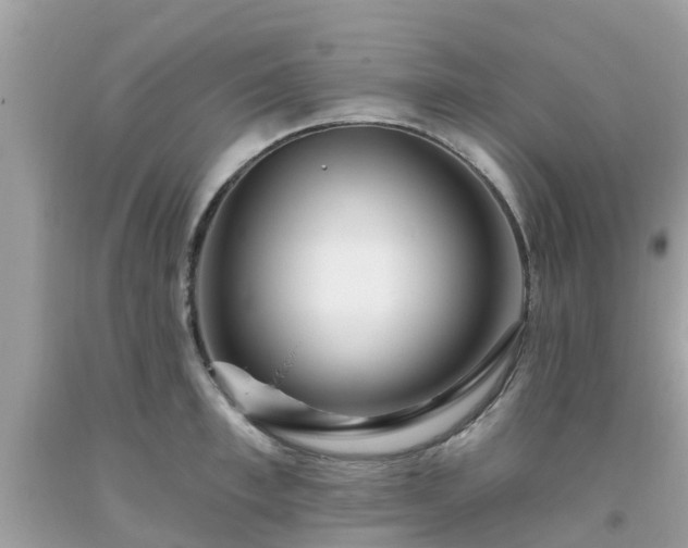 X0000093760997200710231248