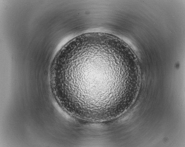 X0000093760998200710231248