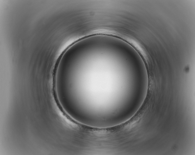 X0000093760999200710231248