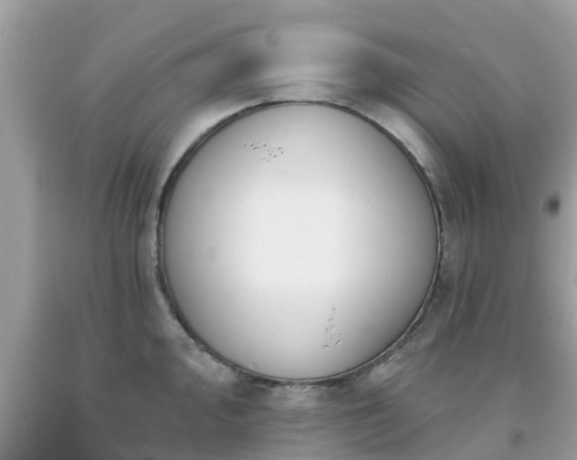 X0000093761000200710231248