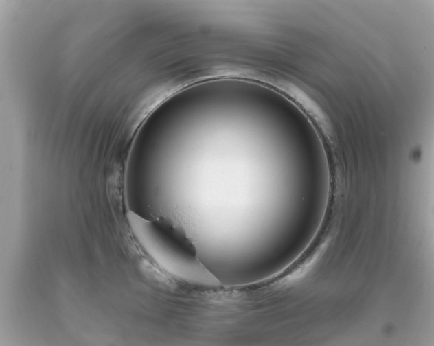 X0000093761001200710231248