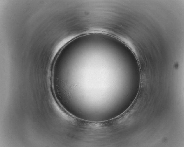 X0000093761003200710231248