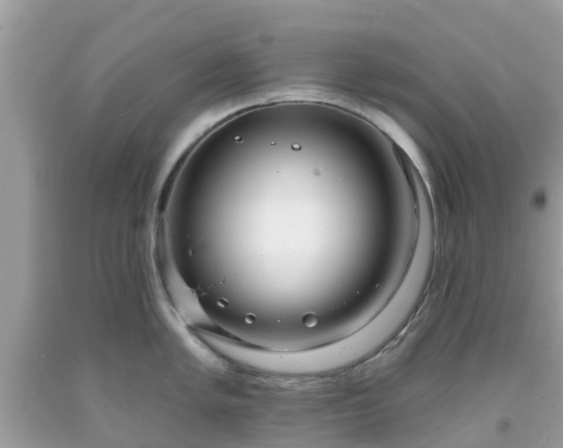 X0000093761005200710231248