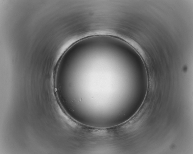 X0000093761006200710231248