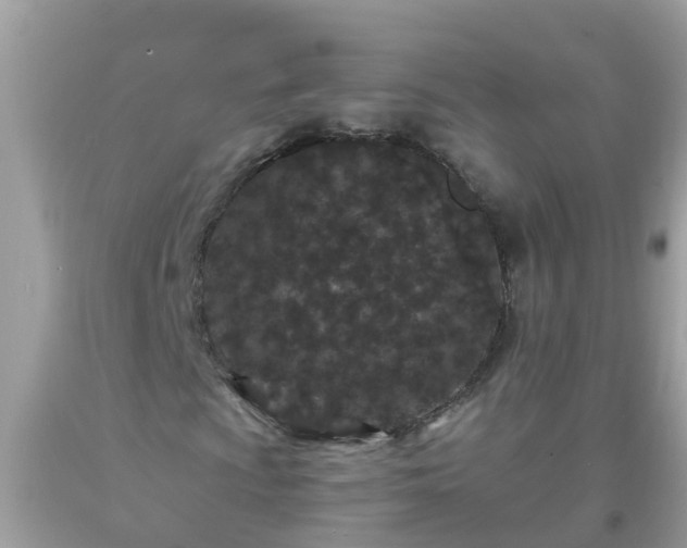 X0000093761009200710231248