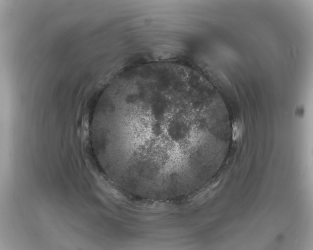 X0000093761011200710231248