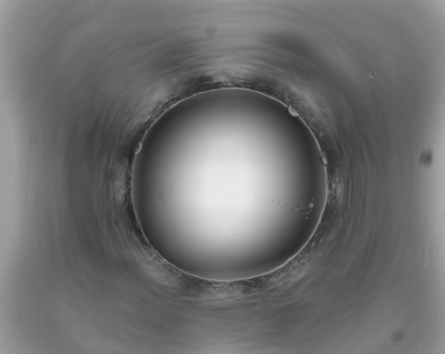 X0000093761012200710231248
