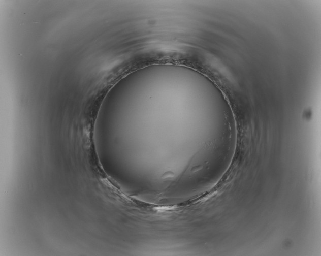 X0000093761013200710231248