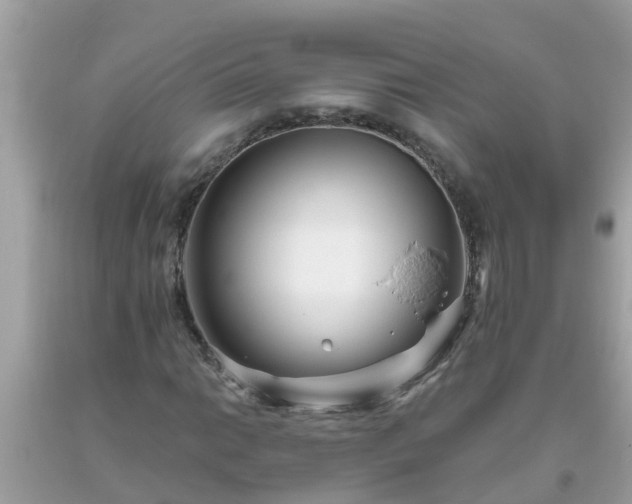X0000093761014200710231248