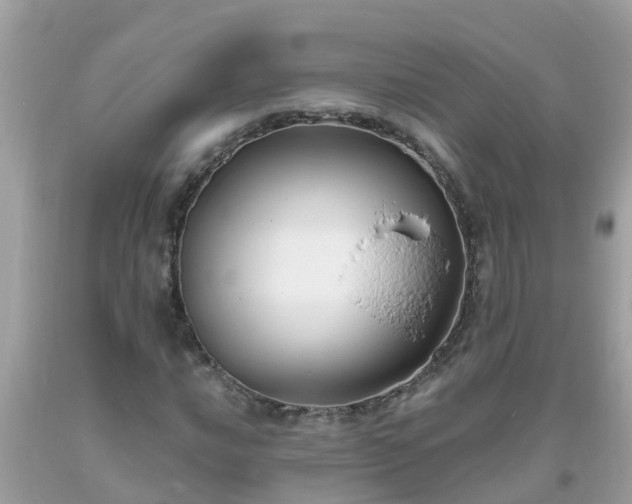 X0000093761016200710231248