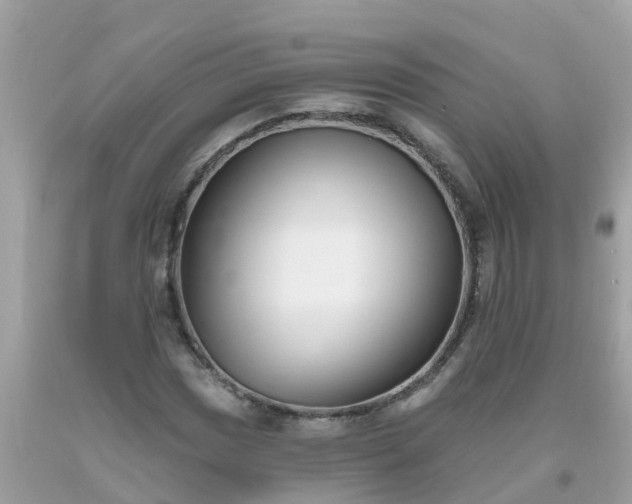 X0000093761017200710231248