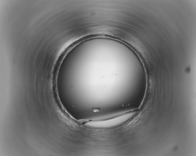 X0000093761020200710231248