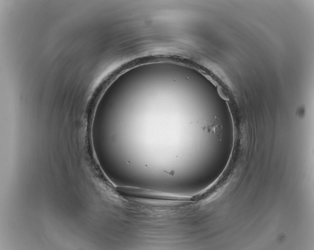 X0000093761021200710231248