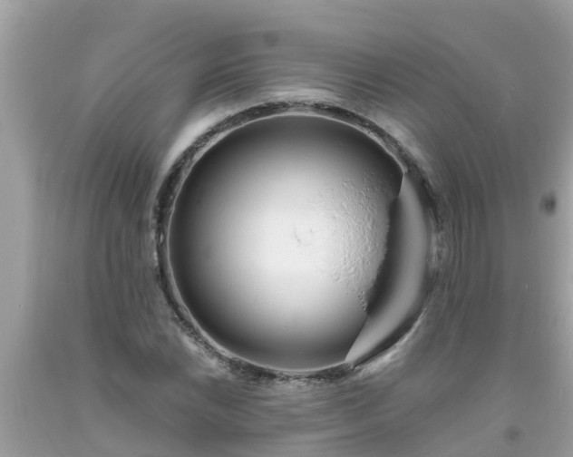 X0000093761022200710231248