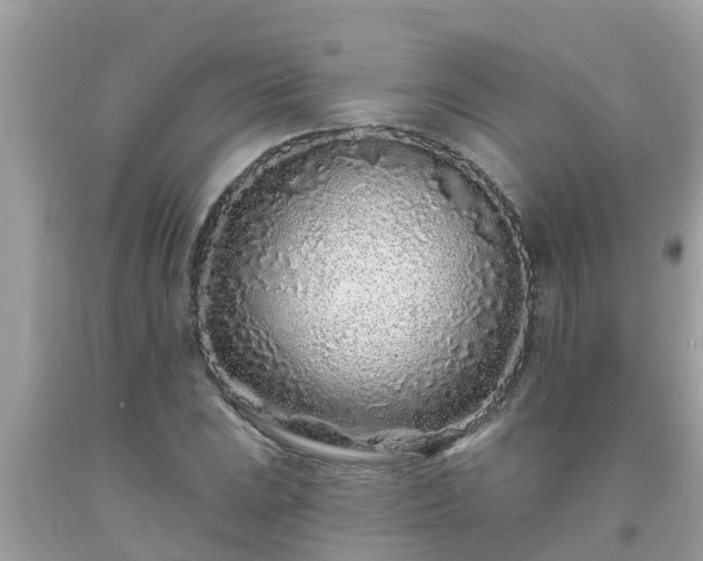 X0000093761023200710231248