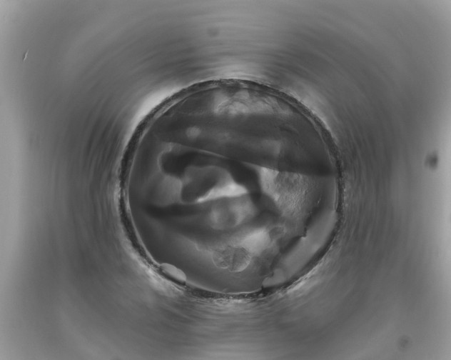 X0000093761024200710231248