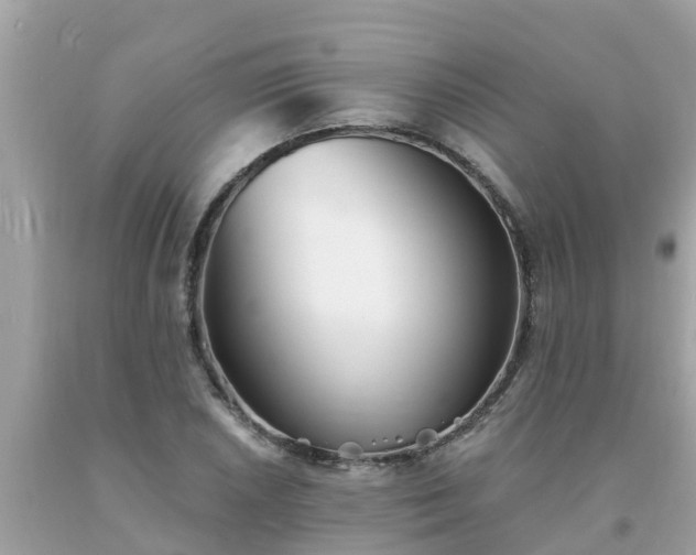 X0000093761026200710231248