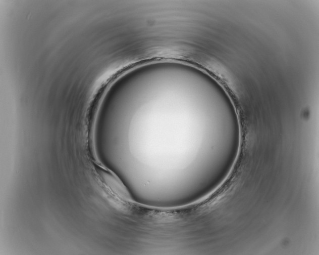 X0000093761027200710231248
