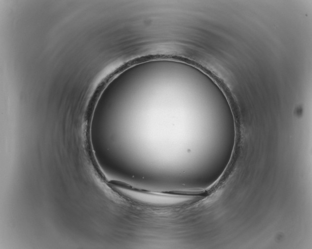 X0000093761029200710231248
