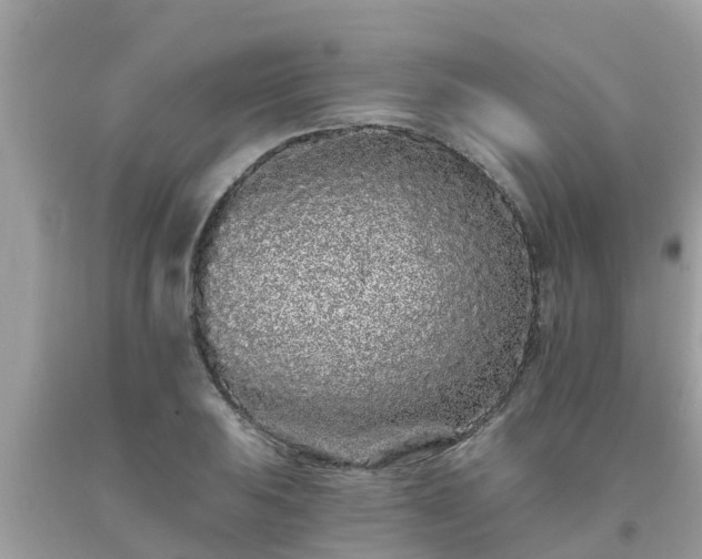X0000093761031200710231248
