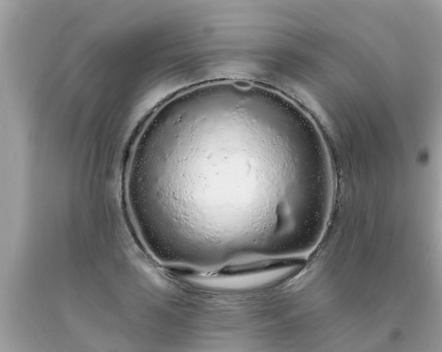 X0000093761035200710231248
