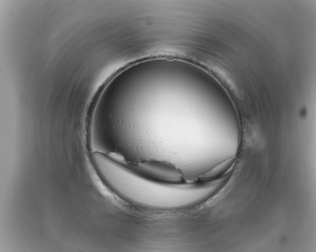 X0000093761038200710231248